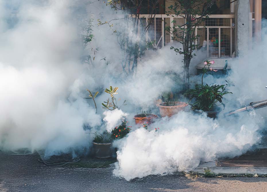 Why Choose FastFog for Your Next Event