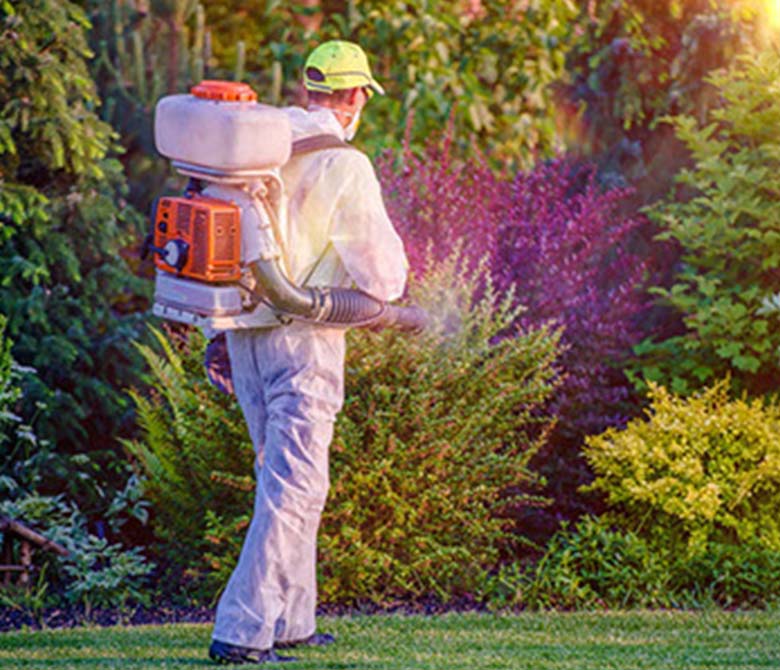 What is Backpack Fogging?