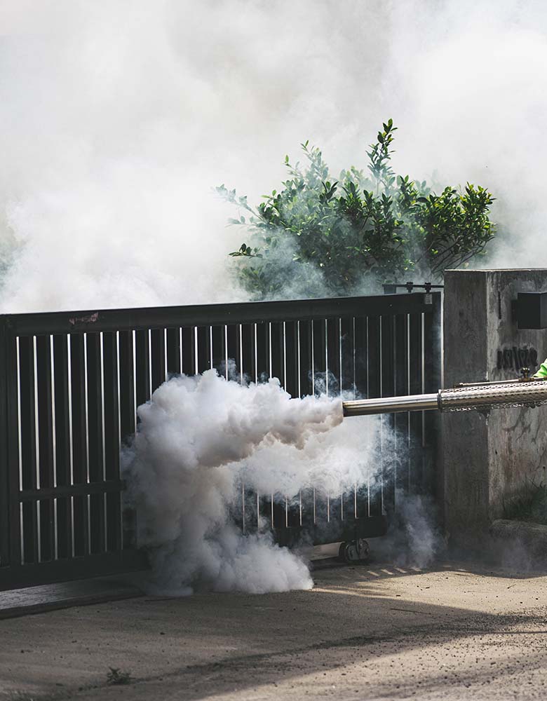 Reliable, Professional, and Committed to Your Success