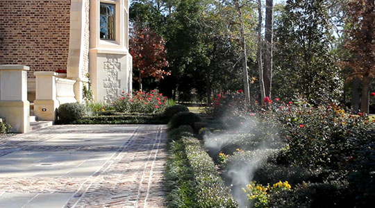 Why Choose FastFog for Your Next Event